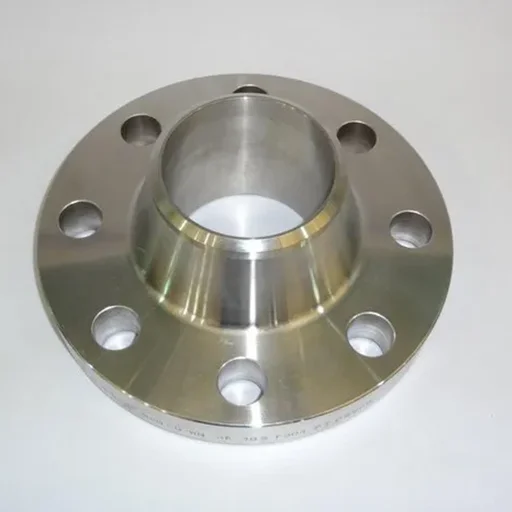 SS 304L Weld Neck Flanges (WNRF)